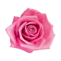 Avon Collections Roseta kölni - Image 3