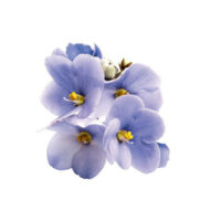 Avon Collections Violeta kölni - Image 3