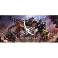 Crucible Beta